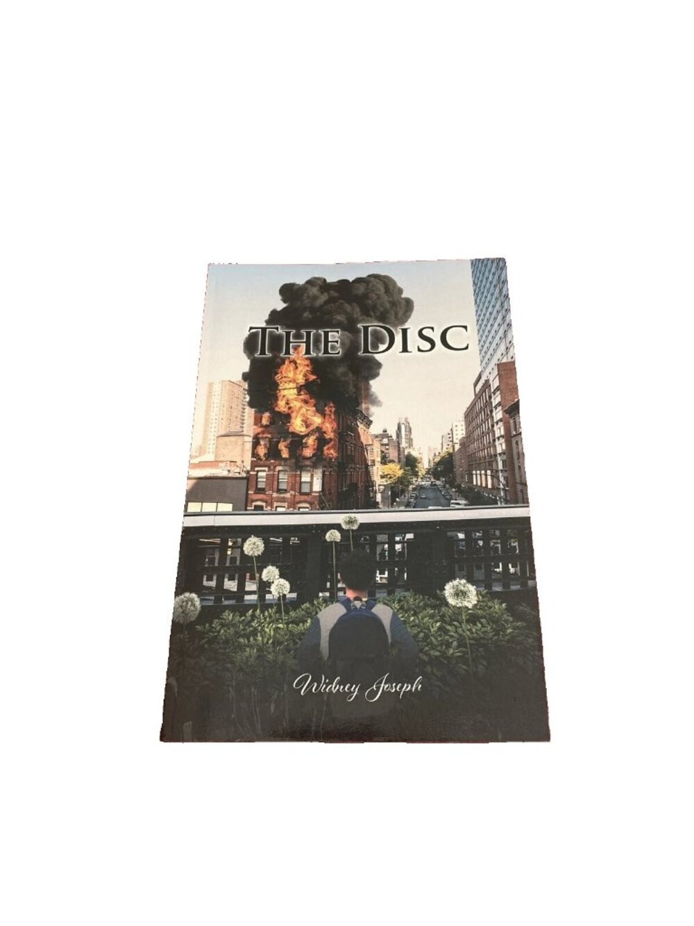 The Disc Book By Widget Joseph Trade Paperback 2021 Very Good